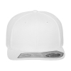 Fitted SnapbackFlexfit 110