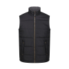 Bodywarmer Rembourré Isolant Altoona Regatta TRA806