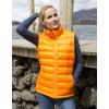 Damen Ice Bird gepolstert Gilt Result R193F
