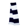 Bicolor scarfTeam Result R146X