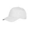 Houston Cap 5 panels Result RC080X