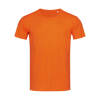 Ben Crew Neck Stedman ST9000