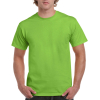 Ultra CottonTM Short Sleeve T-Shirt Gildan 2000