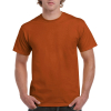 Ultra CottonTM Short Sleeve T-Shirt Gildan 2000
