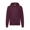 Sweatshirt Capuche Léger Fruit of the Loom 62-140-0