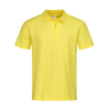 Polo Stedman ST3000