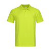 Polo Stedman ST3000