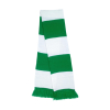 Bicolor scarfTeam Result R146X