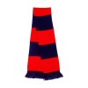 Bicolor scarfTeam Result R146X