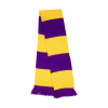 Bicolor scarfTeam Result R146X