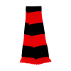 Bicolor scarfTeam Result R146X
