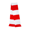 Bicolor scarfTeam Result R146X