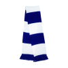Bicolor scarfTeam Result R146X
