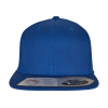 Fitted SnapbackFlexfit 110