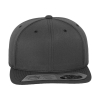 Fitted SnapbackFlexfit 110
