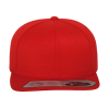 Fitted SnapbackFlexfit 110