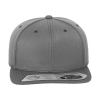 Fitted SnapbackFlexfit 110