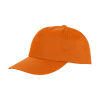 Houston Cap 5 panels Result RC080X