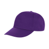 Houston Cap 5 panels Result RC080X