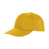 Houston Cap 5 panels Result RC080X