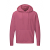 Sweat-Shirt Capuche Signature SG27