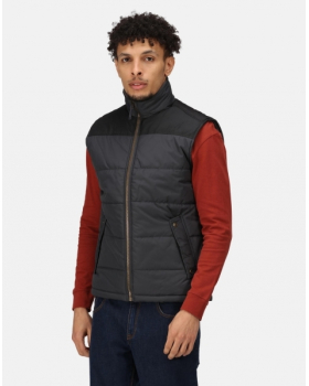 Bodywarmer Rembourré Isolant Altoona Regatta TRA806
