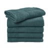 Guest towel 50x100 cm SG TO3515