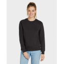 Raglan Sweatshirt Women SG23F