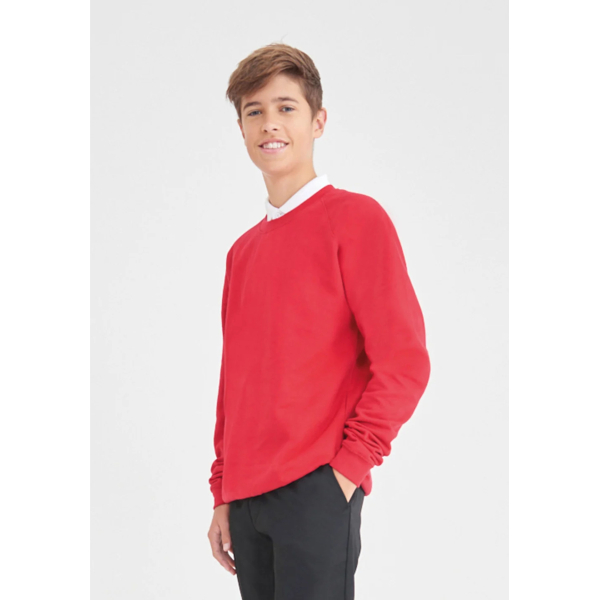Raglan Academy AWDis AC001 Sweatshirt