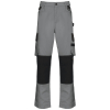 Pantalon de travail bicolore homme Silver / Black
