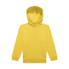 Sweat à Capuche ID.333 Enfant B&C