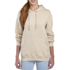 Sweat à Capuche Jerzees