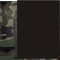 Black Multicam