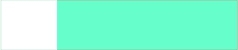 Mint Green/White 