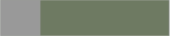 Khaki/Light Grey